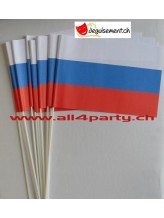 10 drapeaux Slovaquie14x21cm