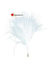 20 plumes blanches 20 plumes blanches