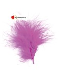 20 plumes fuchsia