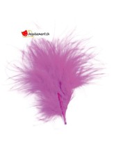 20 plumes fuchsia 20 plumes fuchsia