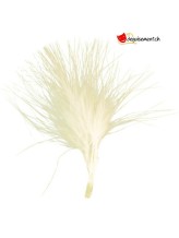 20 plumes ivoire 20 plumes ivoire