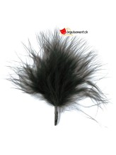 20 plumes noir 20 plumes noir