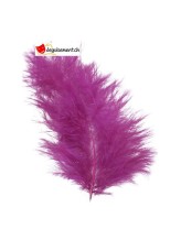 20 plumes prune 20 plumes prune