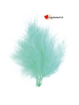 20 plumes turquoise 20 plumes turquoise