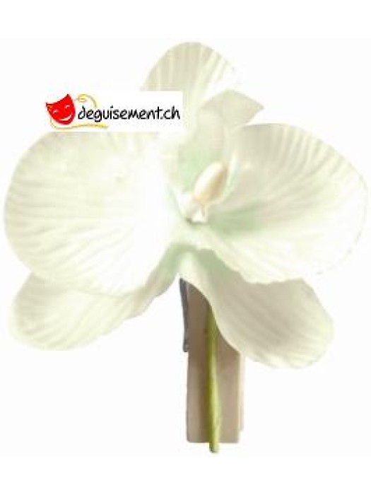 6 orchidées ivoire sur pince
