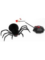 Remote controlled spider