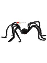 Araignée velue géante noire Araignée velue géante noire