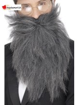Barbe et moustache longue grise Barbe et moustache longue grise