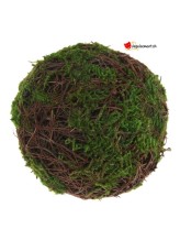 Boule en mousse verte - 4 pces Boule en mousse verte - 4 pces