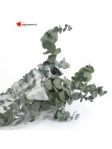 Bouquet di eucalipto verde