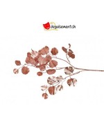 Eucalyptus branch pink gold mat - 84cm