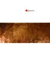 Disko - Afro perücke gelb für Erwachsene Disko - Afro perücke gelb für Erwachsene