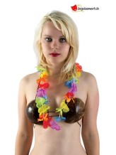 Hawaiian necklace multicolor Hawaiian necklace multicolor