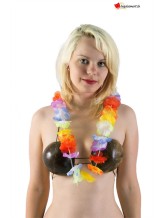 Hawaiian necklace multicolor pastel Hawaiian necklace multicolor pastel