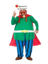 Abraracourcix adult disguise Abraracourcix adult disguise