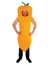 Carrot disguise Carrot disguise