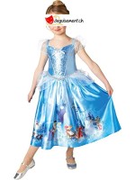 Cinderella disguise - princess