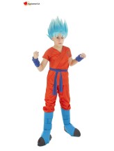 Blue Super Saiyan disguise - Child Blue Super Saiyan disguise - Child
