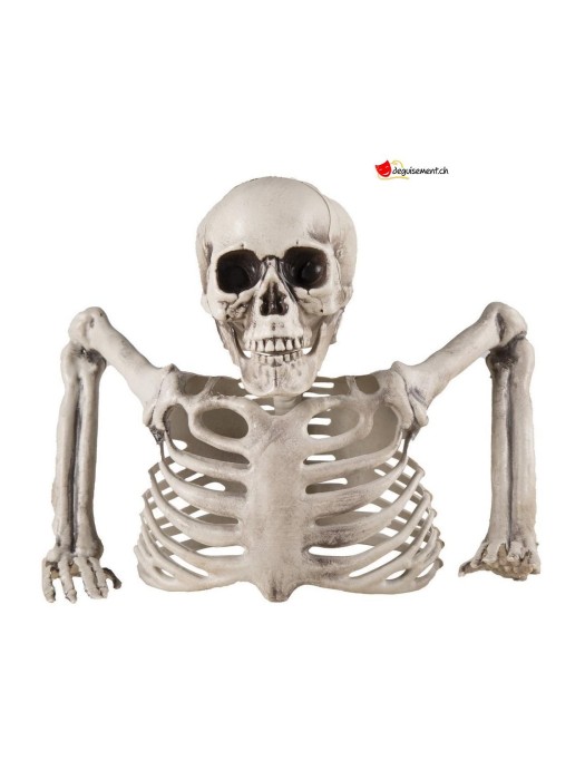 Half-skeleton free-standing