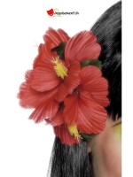 Fleurs hawaii pour cheveux rouge