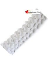 Guirlande  Zinnia Blanc