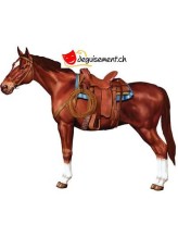 Jointed Cheval Jointed Cheval