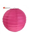 Fuchsia lantern - 20cm - 2 pieces