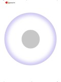 Lentilles de contact blanc - journalière