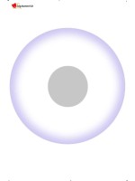Lentilles de contact blanc - journalière