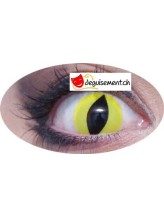 Lentilles de contact chat Lentilles de contact chat