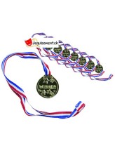 Winner Medal - gold Winner Medal - gold