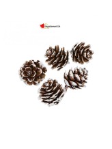 Mini pommes de pin naturel avec neige - 12 pièces Mini pommes de pin naturel avec neige - 12 pièces