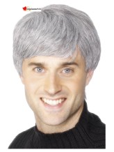 Short grey man wig