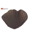 Pétales chocolats - 100 pces