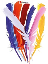 Feathers - random colors - 30cm - 12 pieces Feathers - random colors - 30cm - 12 pieces