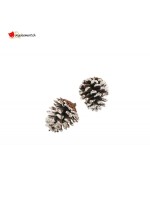 Natural pine cones with snow