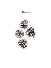 Pommes de pin naturel neige Pommes de pin naturel neige