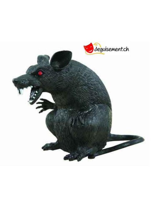 Rat possédé - 18cm