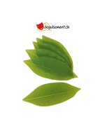 Bag of 12 pachira leaves
