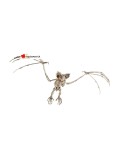 Skelett einer Fledermaus