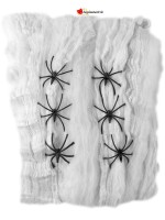Toile d'araignée avec six araignées en plastique