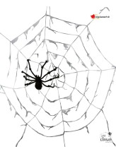 Giant spider web Giant spider web