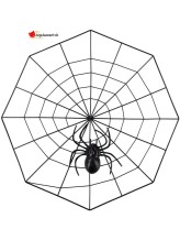 Spinnennetz aus Kunststoff - 30cm